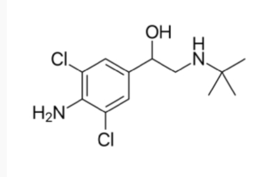 Clen 250mcg/ml 30ml - Image 2